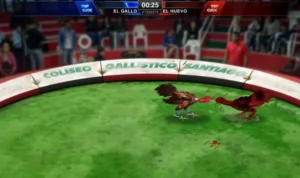 Đá Gà 3D Tại Moto88