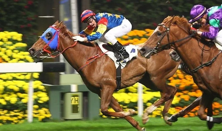 Khám Phá Tìm Hiểu Cá Cược Đua Ngựa Moto88 Kịch Tính Nhất Thị Trường 1 đua ngựa Moto88