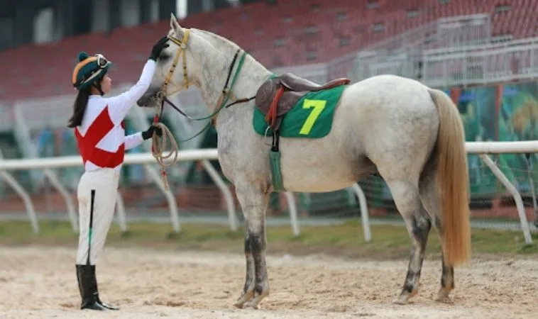 Khám Phá Tìm Hiểu Cá Cược Đua Ngựa Moto88 Kịch Tính Nhất Thị Trường 2 Cần tìm hiểu kỹ bộ môn đua ngựa Moto88 trước khi cá cược